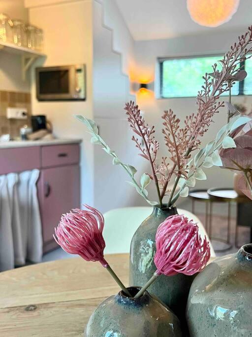 Duynbossie Apartment Schoorl Ngoại thất bức ảnh